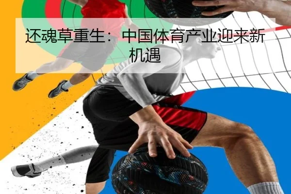 还魂草重生：中国体育产业迎来新机遇
