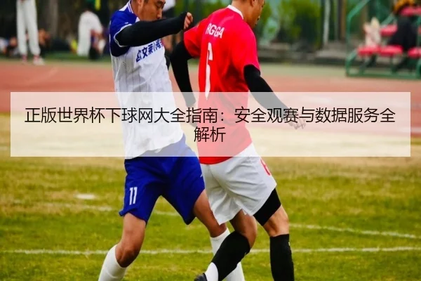 正版世界杯下球网大全指南：安全观赛与数据服务全解析